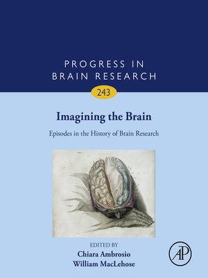 cover image of Imagining the Brain